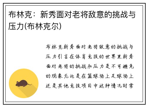 布林克：新秀面对老将敌意的挑战与压力(布林克尔)