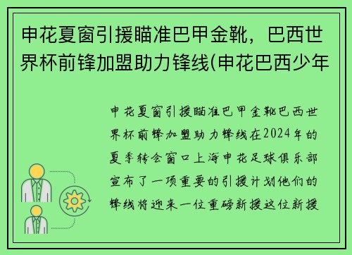 申花夏窗引援瞄准巴甲金靴，巴西世界杯前锋加盟助力锋线(申花巴西少年队)