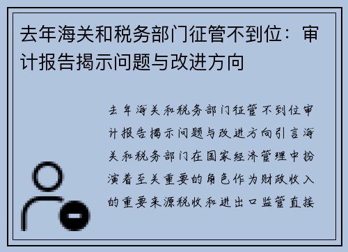 去年海关和税务部门征管不到位：审计报告揭示问题与改进方向