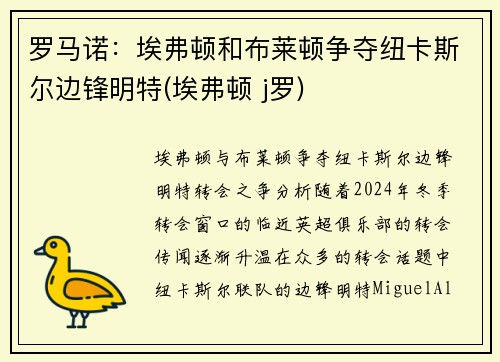 罗马诺：埃弗顿和布莱顿争夺纽卡斯尔边锋明特(埃弗顿 j罗)